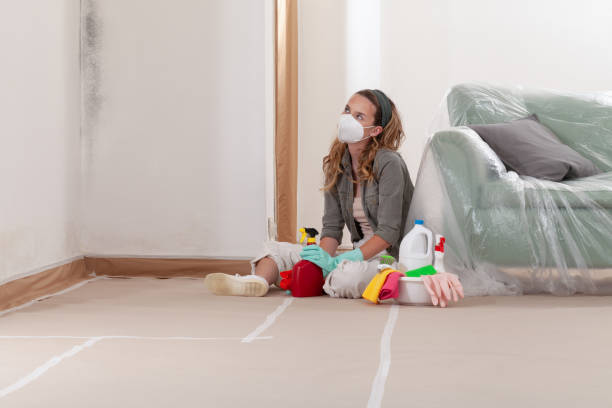 Reliable Black Mold Removal contractor in Denton, TX by WQB Mold Removal